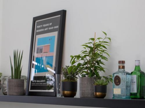 Цветы в интерьере гостиной. Комнатные растения в интерьере квартиры и дома