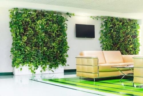 Какова роль растений в оформлении интерьера гостиной. Дизайн интерьера растениями