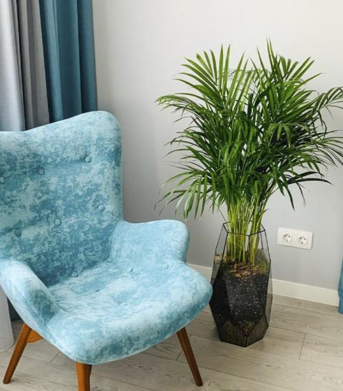 Как разместить растения в интерьере. Как составить композицию? 26 Как разместить растения в интерьере. Как составить композицию? 26