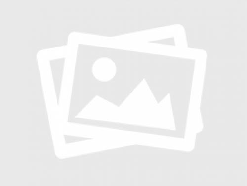 Комнатные растения и цветы в интерьере жилого дома. Оформление интерьера с помощью комнатных растений 14 Комнатные растения и цветы в интерьере жилого дома. Оформление интерьера с помощью комнатных растений 14