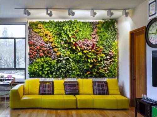 Растения в интерьере жилого дома доклад. Дизайн интерьера растениями