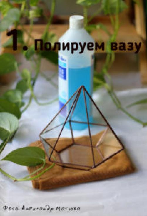 Наполнитель для флорариума. – Что нам понадобится для наполнения флорариума?