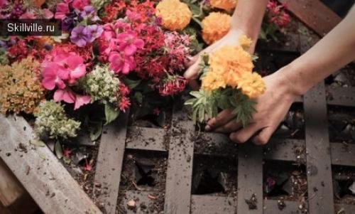 Зеленая стена своими руками. Как сделать «зеленую стену» своими руками