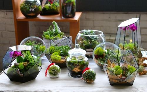 Декор из растений или как создать сказочный лес в квартире. Выбор подходящих растений 08 Декор из растений или как создать сказочный лес в квартире. Выбор подходящих растений 08