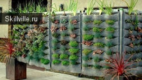 Зеленая стена своими руками. Как сделать «зеленую стену» своими руками