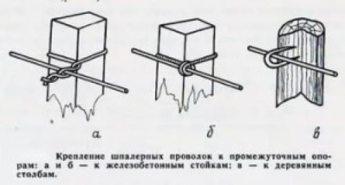 Стойки под виноград. Одноплоскостная шпалера для винограда