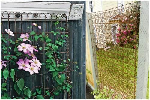 Опора для клематиса из арматуры своими руками. Опора для клематиса своими руками: правила выбора и виды конструкции