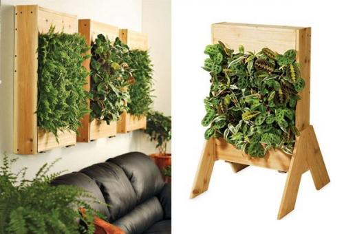 Вертикальное озеленение в квартире. Самодельные приспособления