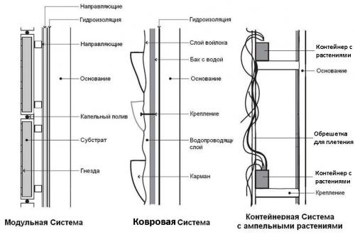 Растения для вертикального озеленения в квартире. Варианты оформления интерьера квартиры с помощью вертикального озеленения
