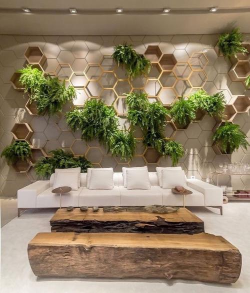 Растения для вертикального озеленения в квартире. Варианты оформления интерьера квартиры с помощью вертикального озеленения