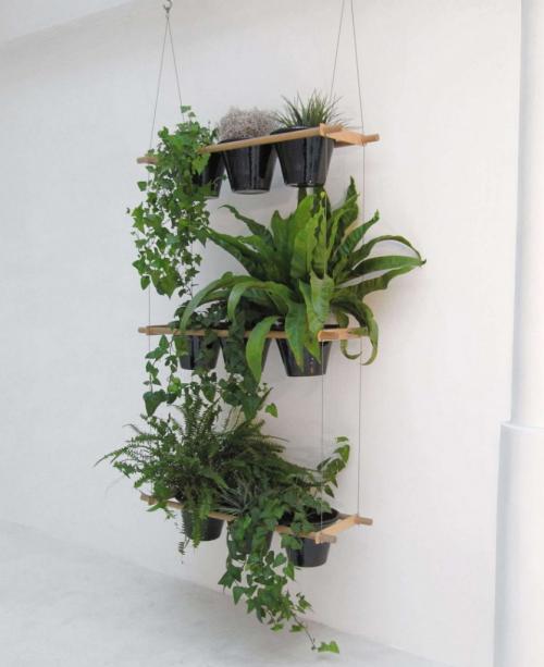 Растения для вертикального озеленения в квартире. Варианты оформления интерьера квартиры с помощью вертикального озеленения