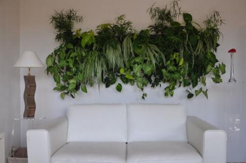 Вертикальное озеленение в квартире. Варианты оформления интерьера квартиры с помощью вертикального озеленения