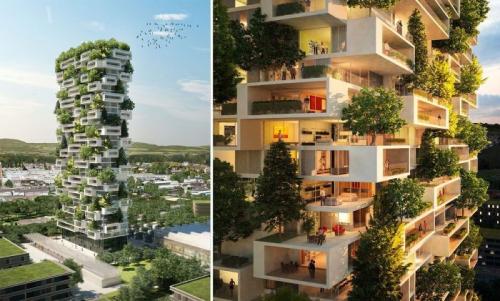 Как сделать озеленение фасада здания. Технология и принципы вертикального озеленения зданий