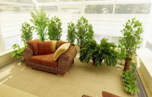 Как озеленить балкон. Озеленение балкона — виды озеленения, дизайн и выбор растений, общие рекомендации. 90 фото дизайнерских идей, гарантирующих яркий эффект