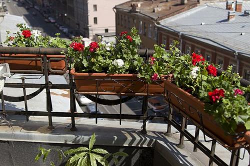 Как озеленить балкон. Озеленение балкона — виды озеленения, дизайн и выбор растений, общие рекомендации. 90 фото дизайнерских идей, гарантирующих яркий эффект