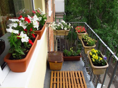 Как озеленить балкон. Озеленение балкона — виды озеленения, дизайн и выбор растений, общие рекомендации. 90 фото дизайнерских идей, гарантирующих яркий эффект