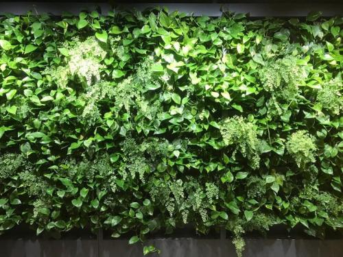 Растения для вертикального озеленения Вашего дома. Озеленение дома: эффекты и приспособления 01 Растения для вертикального озеленения Вашего дома. Озеленение дома: эффекты и приспособления 01