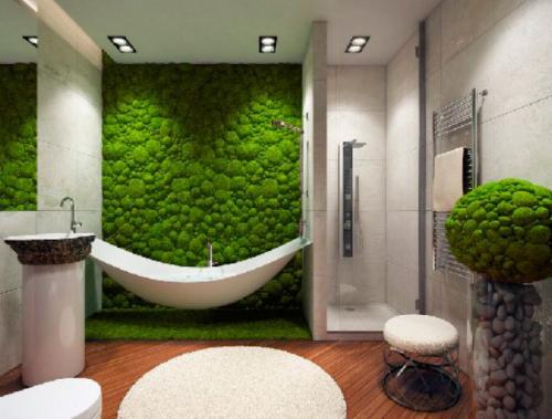 Растения для вертикального озеленения в квартире. Подбор растений