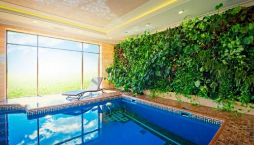 Вертикальное озеленение помещений. Особенности вертикального озеленения