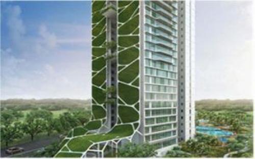 Вертикальное озеленение фасада. Виды вертикального озеленения