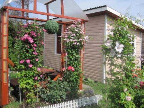 Как сформировать плетистую розу на арку. Опоры для плетистой розы своими руками: 20 примеров с фото