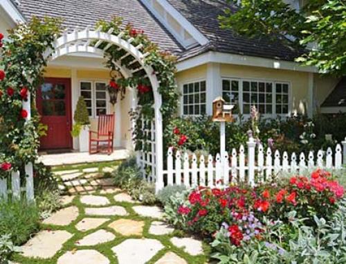 Почвопокровная роза на опоре. Почвопокровные розы в дизайне сада