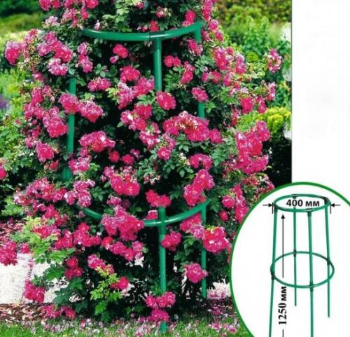 Опора зонт для роз своими руками. Правила ухода за плетистой (вьющейся) розой