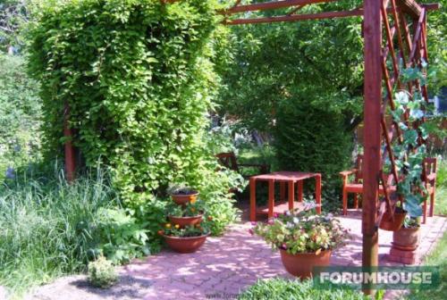 Пергола для роз из дерева. Деревянные шпалеры и перголы