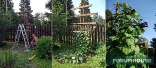 Пергола для роз из дерева. Деревянные шпалеры и перголы