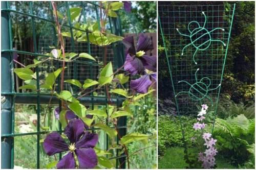 Опоры для клематисов из металла. Виды опорных конструкций