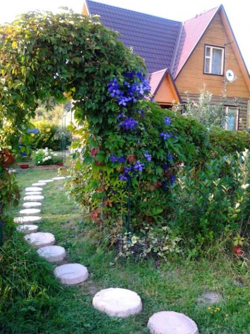 Опора для клематиса из пластиковых труб своими руками