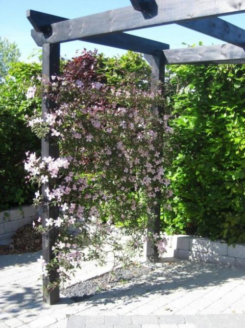 Опора для клематиса из пластиковых труб своими руками