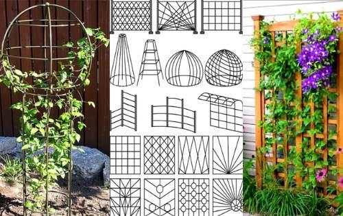Опоры для клематисов из металла. Виды опорных конструкций