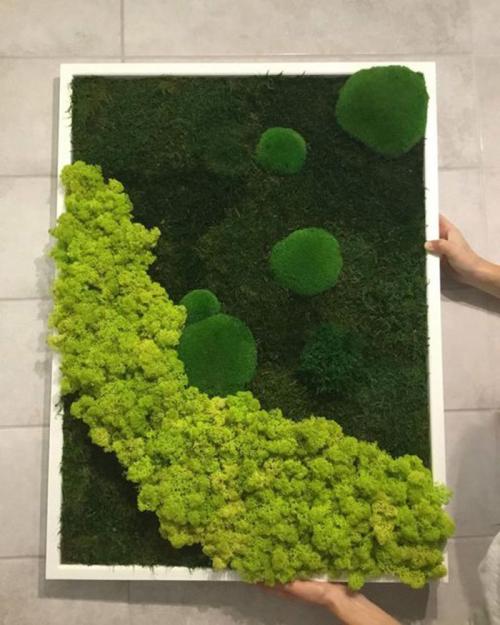 Оборудование для вертикального озеленения. Фитомодуль для вертикального озеленения с автополивом