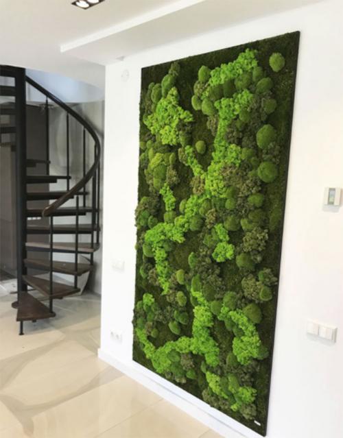 Оборудование для вертикального озеленения. Фитомодуль для вертикального озеленения с автополивом