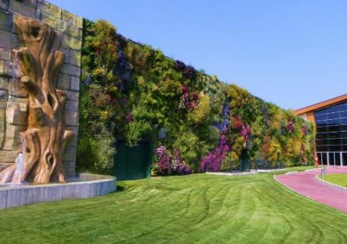 Основные элементы вертикального озеленения своими руками. Растения 12 Основные элементы вертикального озеленения своими руками. Растения 12