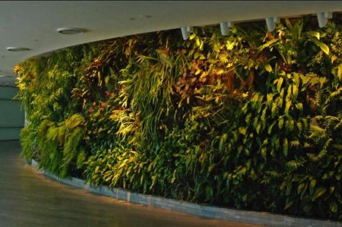 Основные элементы вертикального озеленения своими руками. Растения 10 Основные элементы вертикального озеленения своими руками. Растения 10