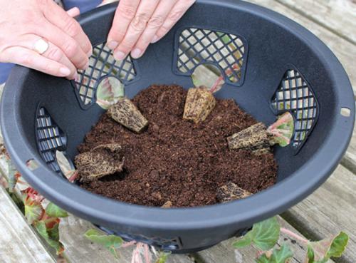 Оборудование для вертикального озеленения. Фитомодуль для вертикального озеленения с автополивом
