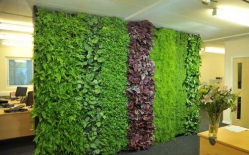 Основные элементы вертикального озеленения своими руками. Растения 04 Основные элементы вертикального озеленения своими руками. Растения 04