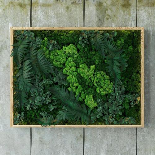 Оборудование для вертикального озеленения. Фитомодуль для вертикального озеленения с автополивом