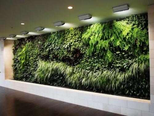 Основные элементы вертикального озеленения своими руками. Растения 09 Основные элементы вертикального озеленения своими руками. Растения 09