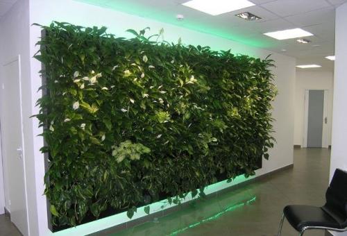 Основные элементы вертикального озеленения своими руками. Растения 08 Основные элементы вертикального озеленения своими руками. Растения 08