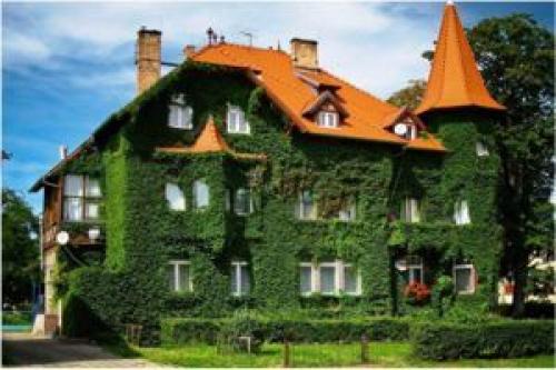 Вертикальное озеленение фасадов. Виды вертикального озеленения