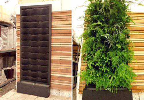 Растения на стене в квартире. Вертикальные клумбы