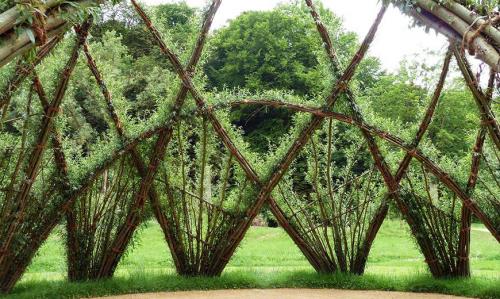 Вертикальное озеленение сада