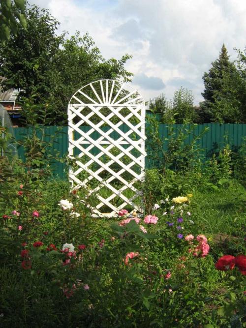 Шпалеры и опоры для вьющихся цветов. Шпалера — подробное описание выбора основных элементов и их применения (130 фото и видео)