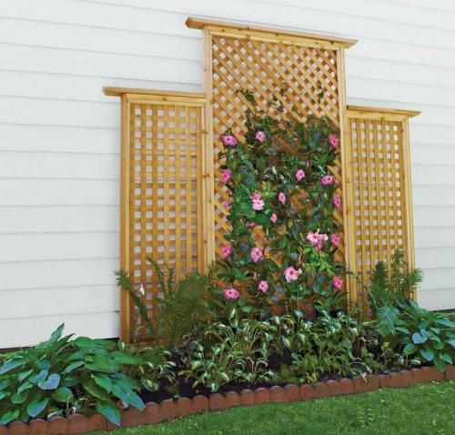 Шпалеры и опоры для вьющихся цветов. Шпалера — подробное описание выбора основных элементов и их применения (130 фото и видео)