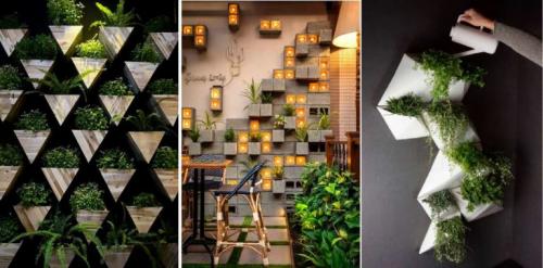 Зеленая стена из растений своими руками. Фитостены с растениями в горшках