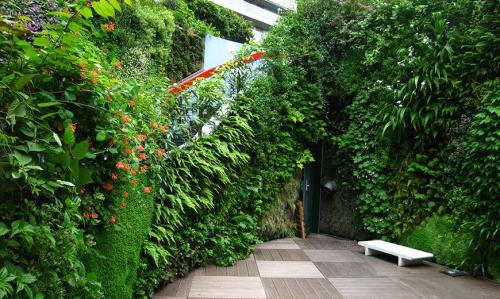 Вертикальное озеленение искусственными растениями. Вертикальное озеленение сада
