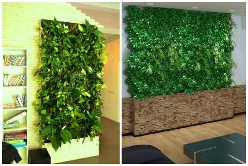 Фитостена и фитомодуль своими руками: особенности современного эко-дизайна